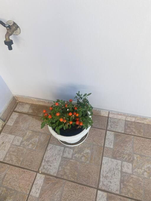New Lovely Apartment In Heraklion Kültér fotó